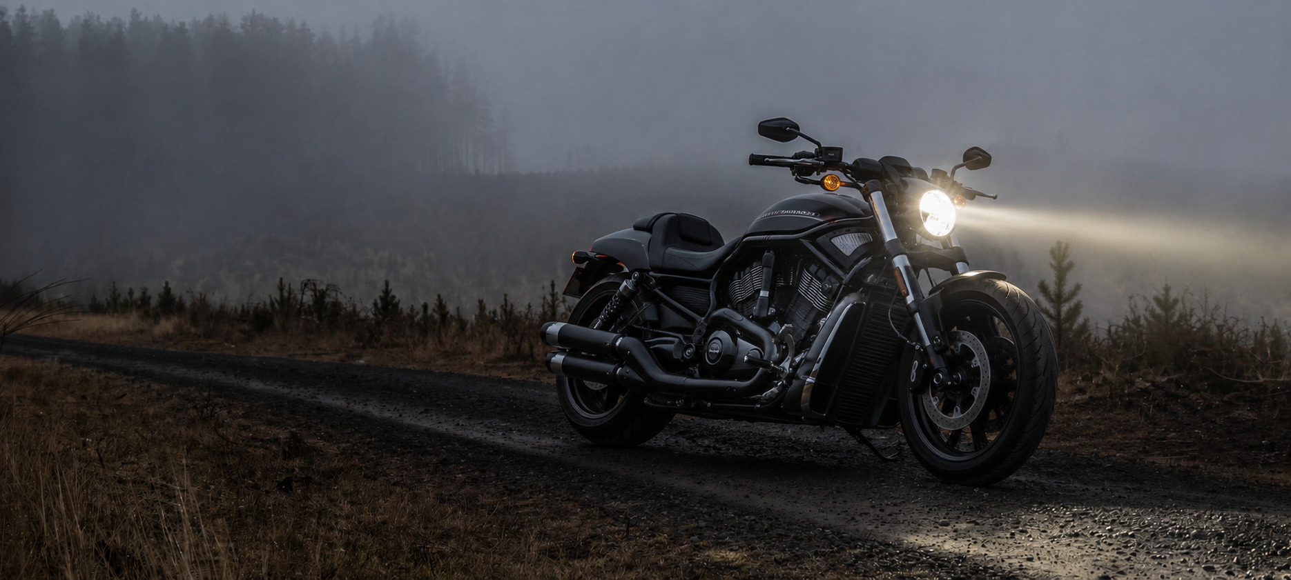 Harley-Davidson V-Rod 2009-2017